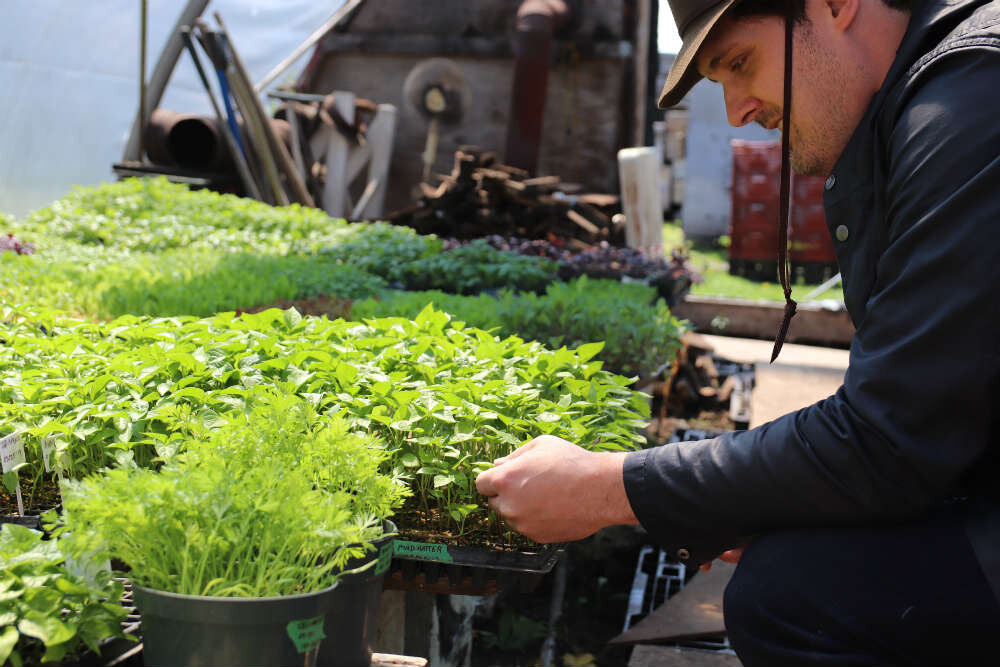 Kyle at JBR Farms Sourcing Vegetables.jpg