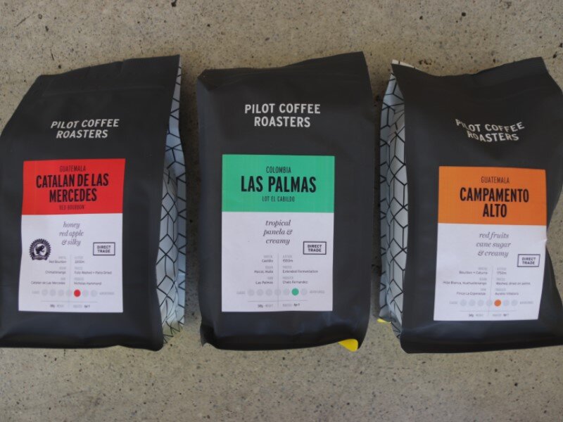 Pilot Coffee Lineup.jpg